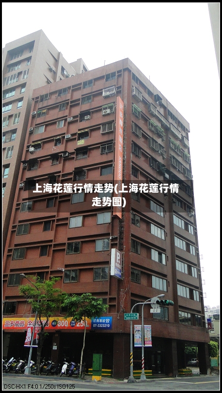 上海花莲行情走势(上海花莲行情走势图)-第2张图片