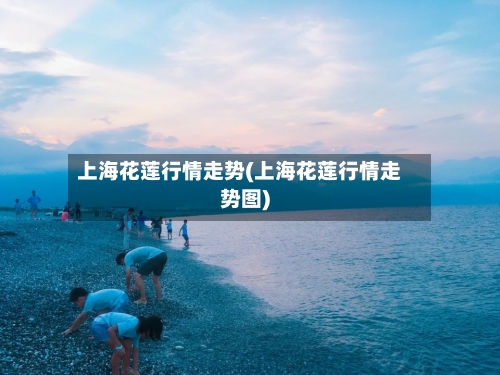 上海花莲行情走势(上海花莲行情走势图)