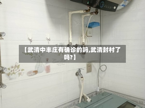 【武清中丰庄有确诊的吗,武清封村了吗?】-第2张图片