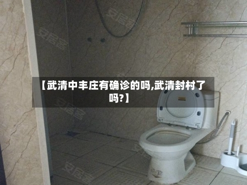 【武清中丰庄有确诊的吗,武清封村了吗?】
