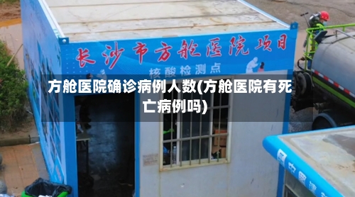 方舱医院确诊病例人数(方舱医院有死亡病例吗)-第2张图片