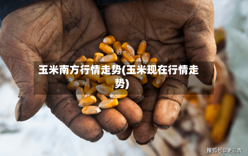 玉米南方行情走势(玉米现在行情走势)