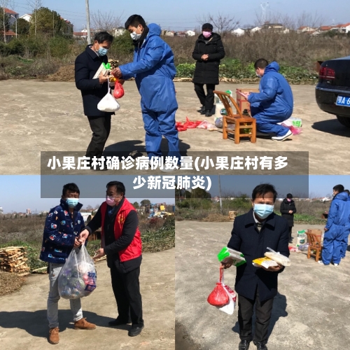 小果庄村确诊病例数量(小果庄村有多少新冠肺炎)