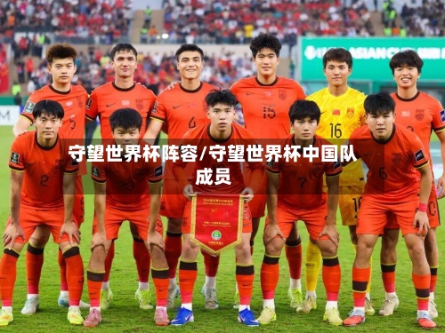 守望世界杯阵容/守望世界杯中国队成员-第2张图片