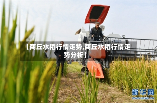 【商丘水稻行情走势,商丘水稻行情走势分析】