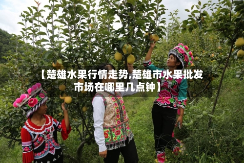 【楚雄水果行情走势,楚雄市水果批发市场在哪里几点钟】-第2张图片