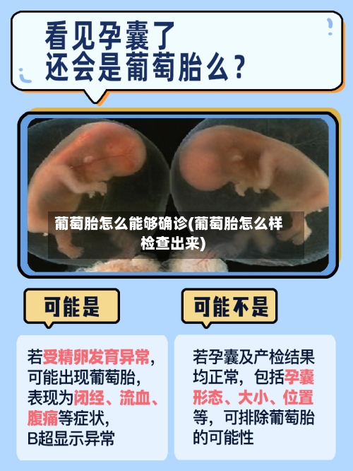 葡萄胎怎么能够确诊(葡萄胎怎么样检查出来)-第2张图片