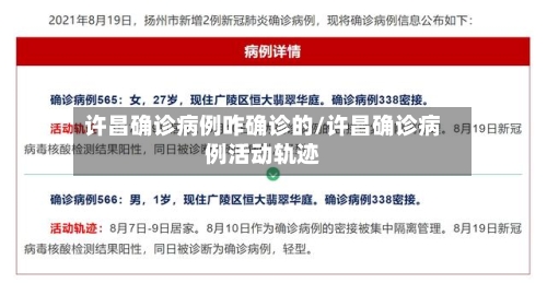 许昌确诊病例咋确诊的/许昌确诊病例活动轨迹-第2张图片