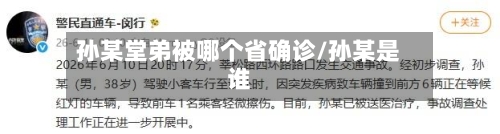 孙某堂弟被哪个省确诊/孙某是谁-第2张图片