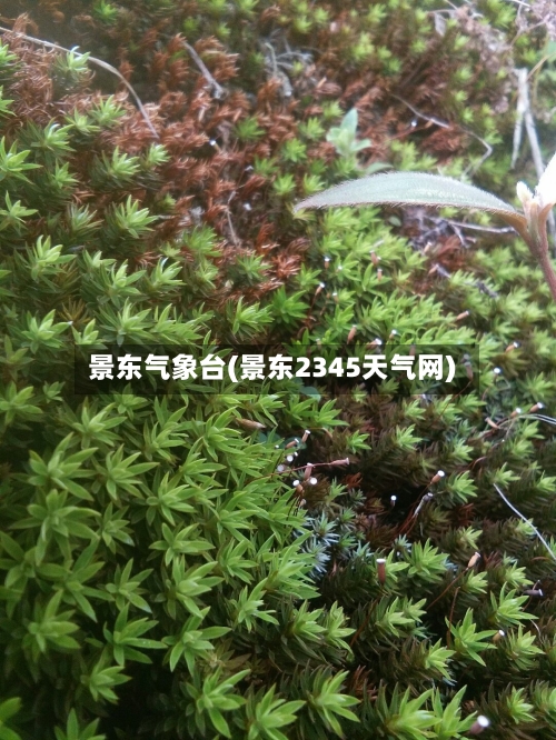 景东气象台(景东2345天气网)