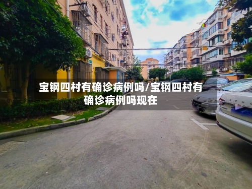 宝钢四村有确诊病例吗/宝钢四村有确诊病例吗现在-第2张图片