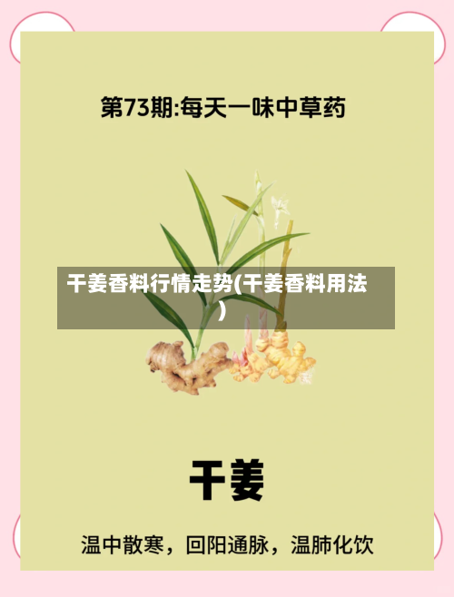 干姜香料行情走势(干姜香料用法)