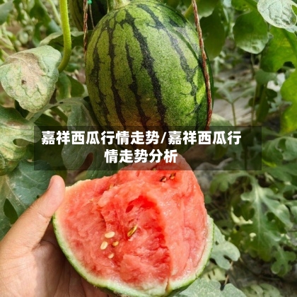 嘉祥西瓜行情走势/嘉祥西瓜行情走势分析