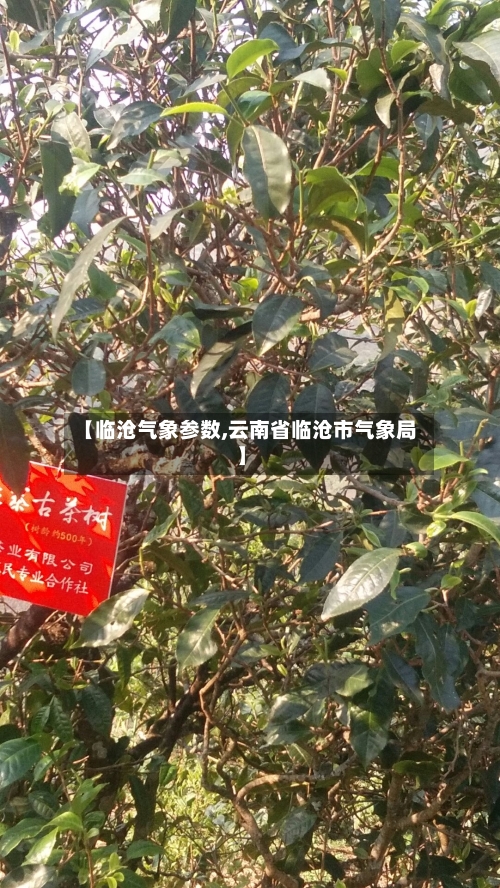 【临沧气象参数,云南省临沧市气象局】-第3张图片