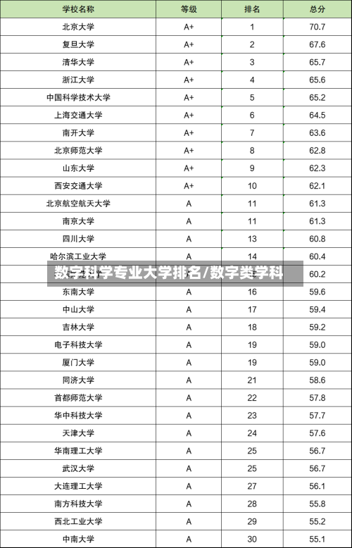 数字科学专业大学排名/数字类学科