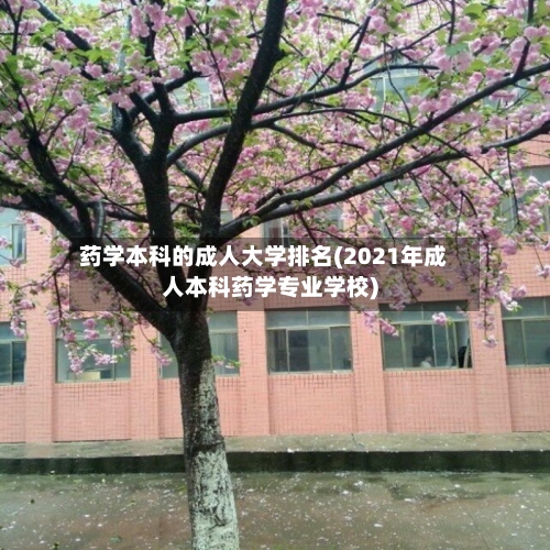 药学本科的成人大学排名(2021年成人本科药学专业学校)