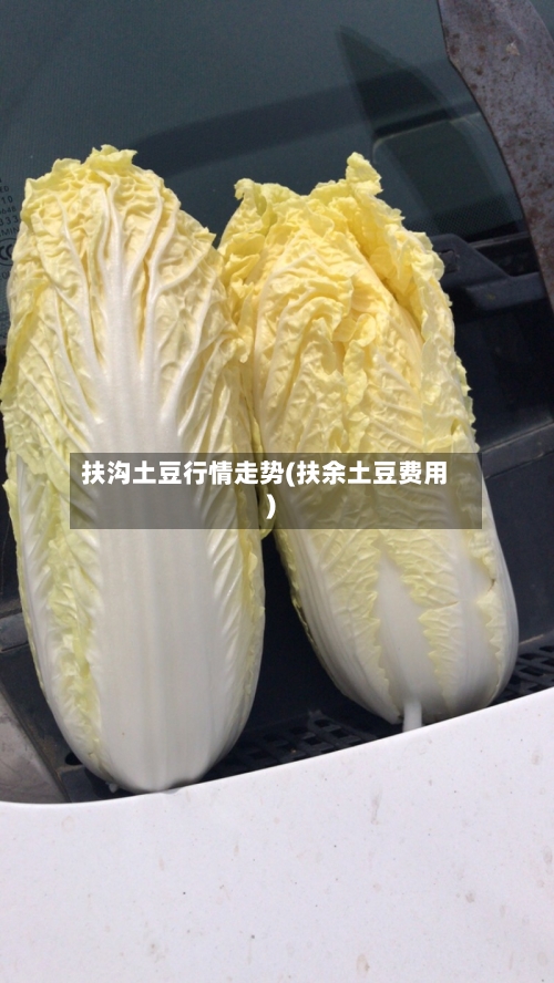 扶沟土豆行情走势(扶余土豆费用)