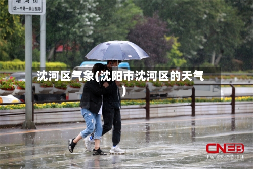 沈河区气象(沈阳市沈河区的天气)