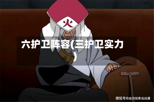 六护卫阵容(三护卫实力)-第3张图片