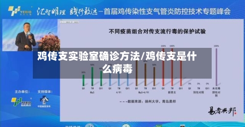 鸡传支实验室确诊方法/鸡传支是什么病毒-第3张图片