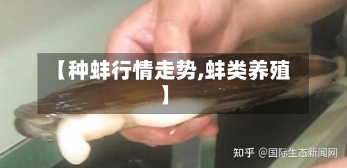 【种蚌行情走势,蚌类养殖】