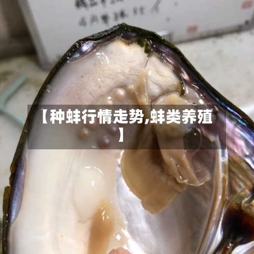 【种蚌行情走势,蚌类养殖】-第2张图片