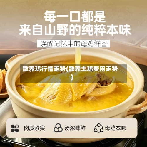 散养鸡行情走势(散养土鸡费用走势)-第2张图片