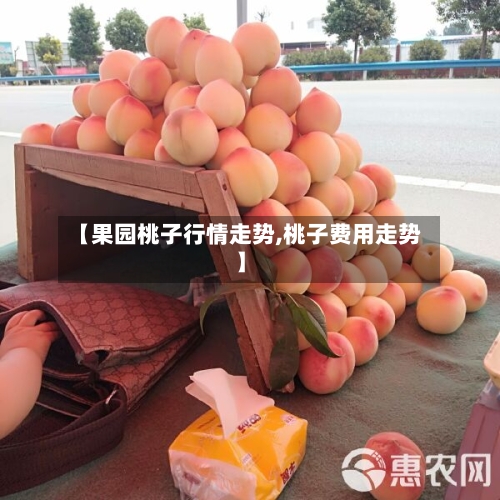 【果园桃子行情走势,桃子费用走势】-第2张图片