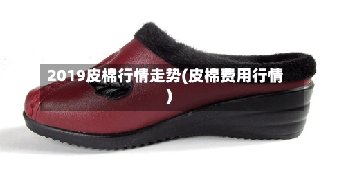 2019皮棉行情走势(皮棉费用行情)
