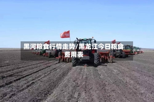 黑河粮食行情走势/黑龙江今日粮食费用表