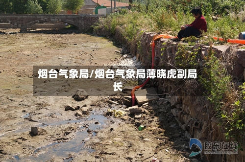 烟台气象局/烟台气象局薄晓虎副局长