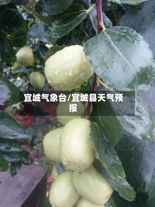 宜城气象台/宜城县天气预报-第3张图片