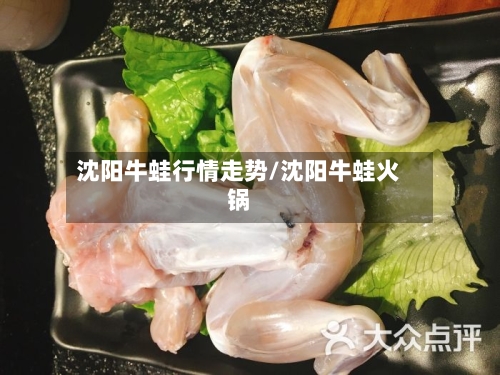 沈阳牛蛙行情走势/沈阳牛蛙火锅