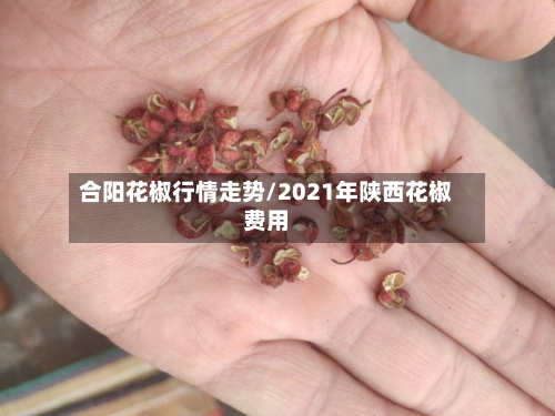 合阳花椒行情走势/2021年陕西花椒费用-第2张图片
