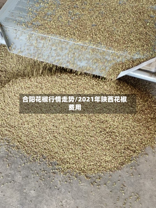 合阳花椒行情走势/2021年陕西花椒费用-第3张图片