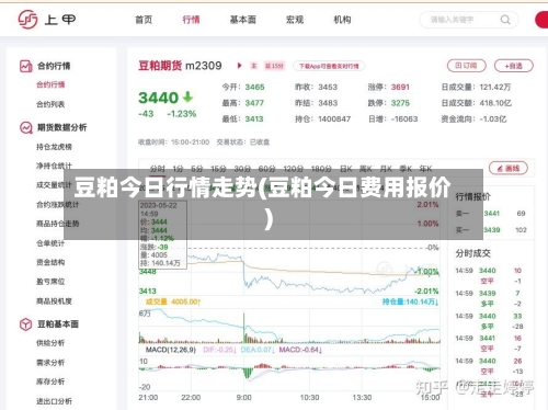 豆粕今日行情走势(豆粕今日费用报价)-第2张图片