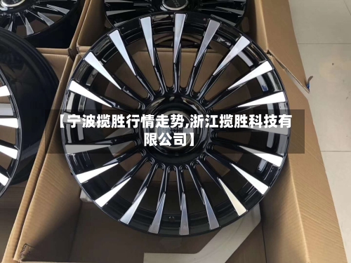 【宁波揽胜行情走势,浙江揽胜科技有限公司】