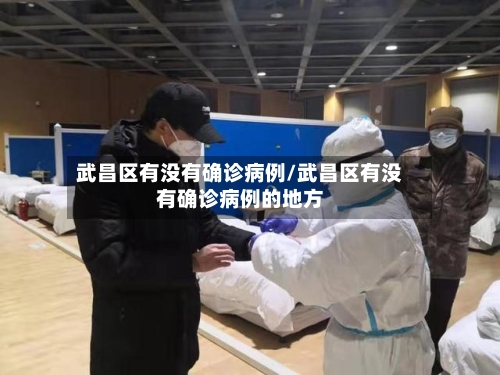 武昌区有没有确诊病例/武昌区有没有确诊病例的地方-第3张图片
