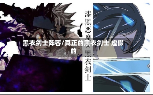 黑衣剑士阵容/真正的黑衣剑士 虚假的
