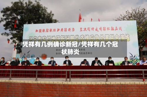 凭祥有几例确诊新冠/凭祥有几个冠状肺炎