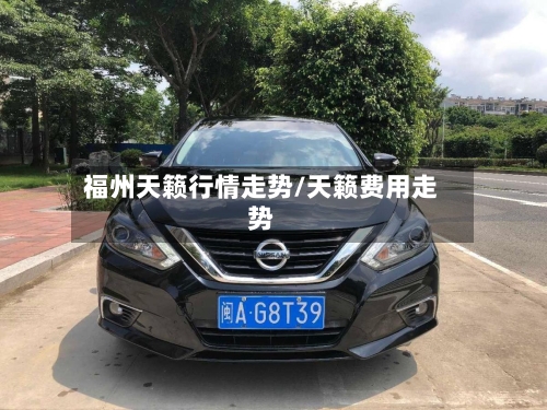 福州天籁行情走势/天籁费用走势-第3张图片