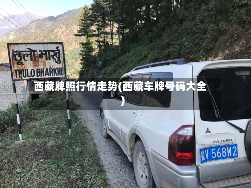 西藏牌照行情走势(西藏车牌号码大全)