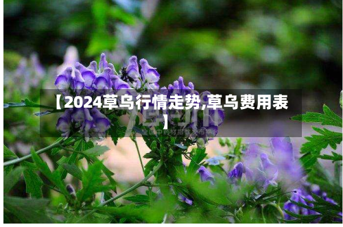 【2024草乌行情走势,草乌费用表】