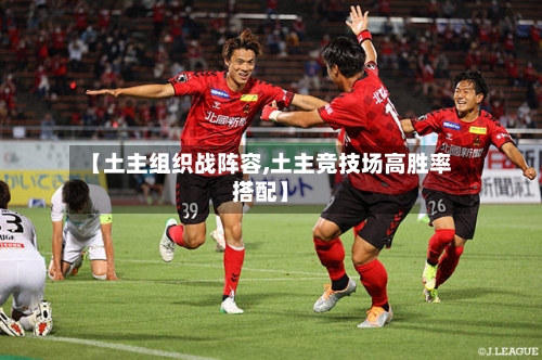 【土主组织战阵容,土主竞技场高胜率搭配】