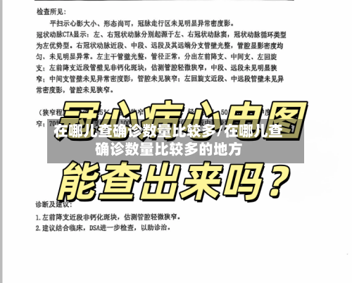 在哪儿查确诊数量比较多/在哪儿查确诊数量比较多的地方