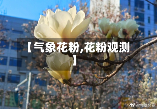 【气象花粉,花粉观测】
