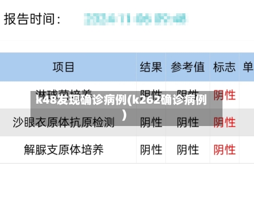 k48发现确诊病例(k262确诊病例)-第2张图片