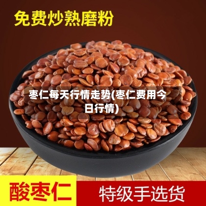 枣仁每天行情走势(枣仁费用今日行情)