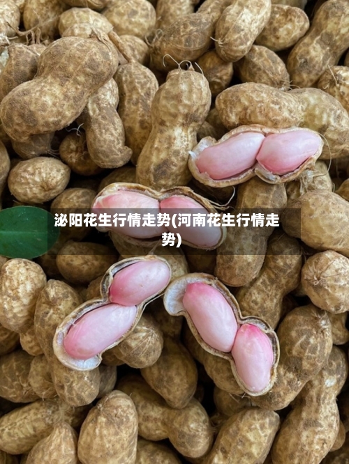 泌阳花生行情走势(河南花生行情走势)