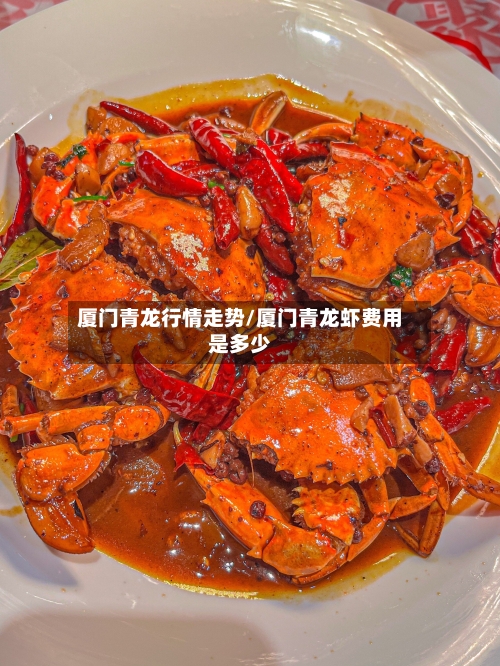 厦门青龙行情走势/厦门青龙虾费用是多少-第2张图片